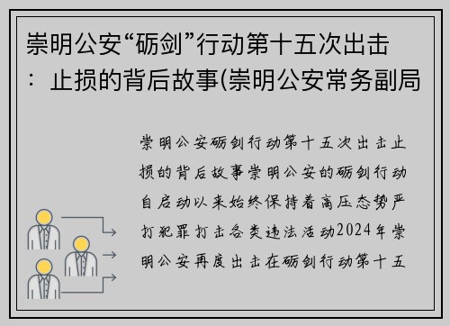 崇明公安“砺剑”行动第十五次出击：止损的背后故事(崇明公安常务副局长)