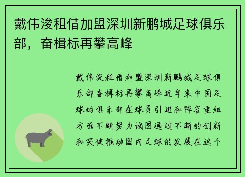 戴伟浚租借加盟深圳新鹏城足球俱乐部，奋楫标再攀高峰