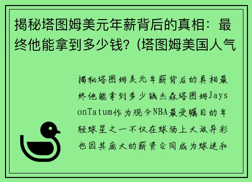 揭秘塔图姆美元年薪背后的真相：最终他能拿到多少钱？(塔图姆美国人气)