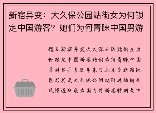 新宿异变：大久保公园站街女为何锁定中国游客？她们为何青睐中国男游客？